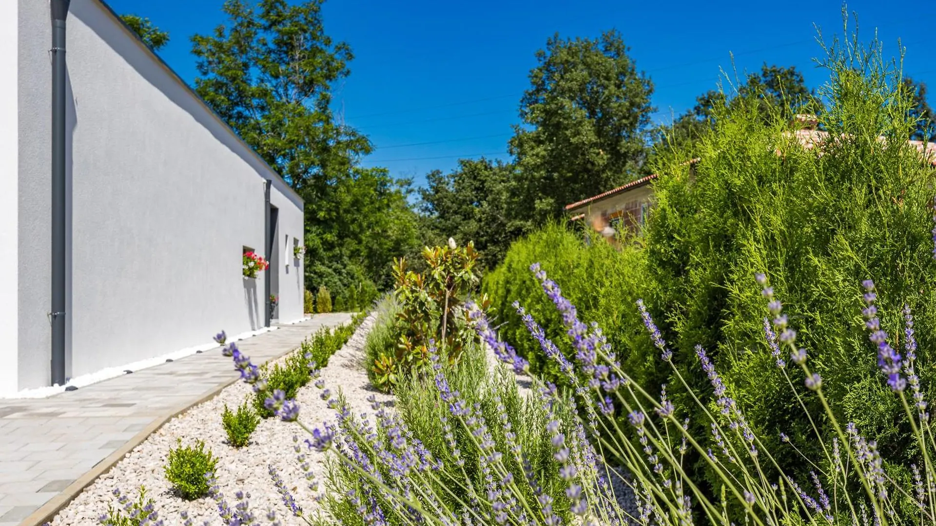 Apartman Pool House Fancy - Happy Rentals